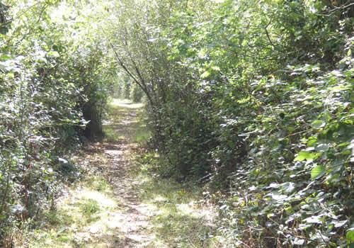 Photo Gallery Image - Footpath leading to the Village Hall