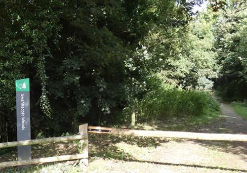 Photo Gallery Image - Swannacott Woods