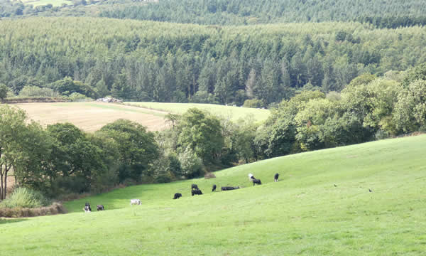 Views over the parish