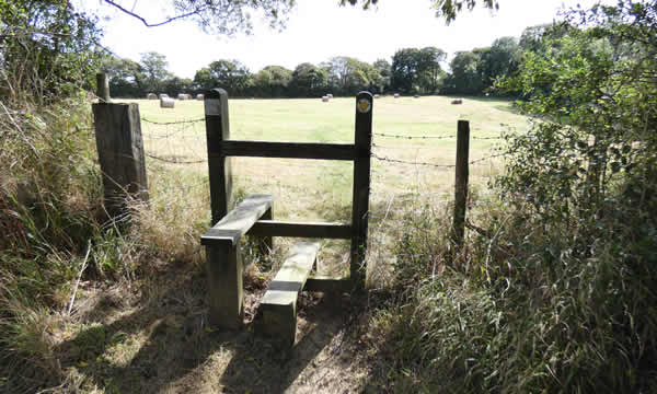 Stile on footpath through fields to village hall